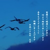 新年の挨拶