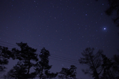 林からの星空