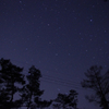 林からの星空