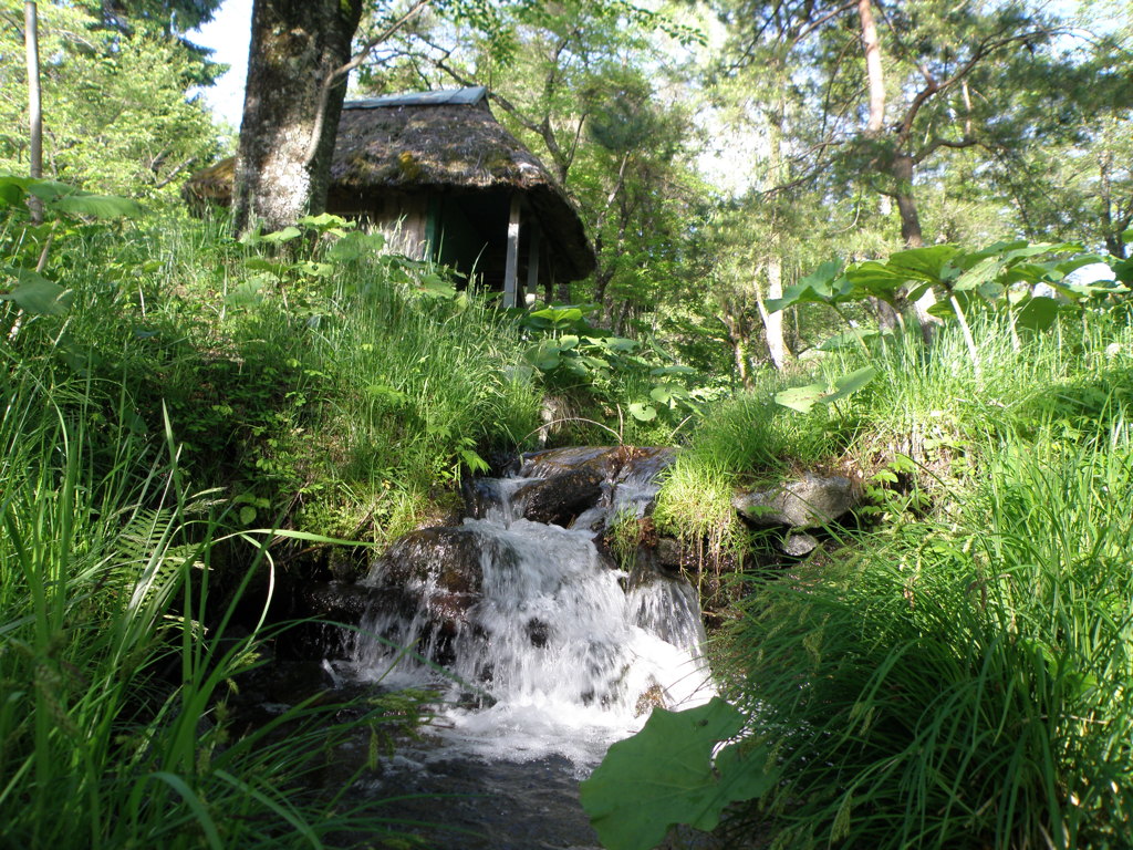 水車小屋からの水の流れ