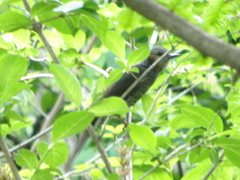 P5230013