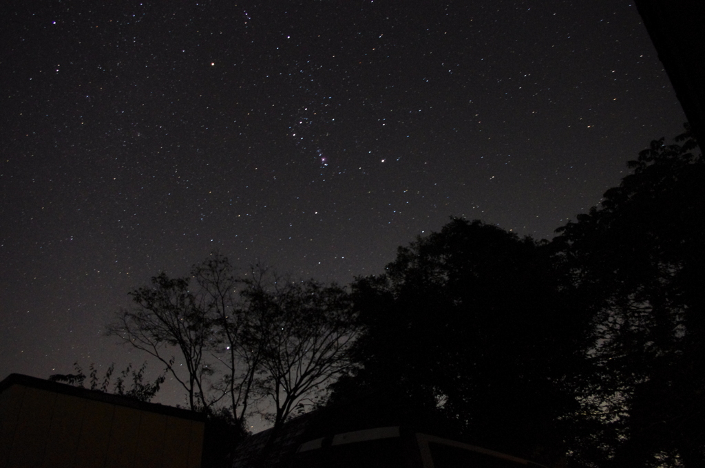 オリオン座が光る星空