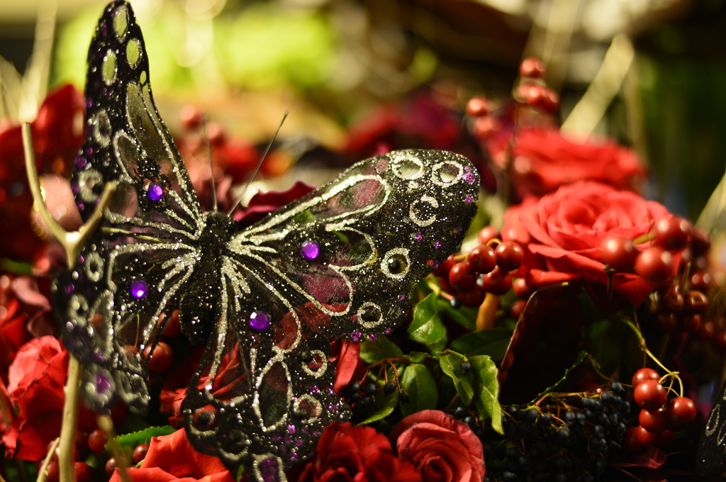 A butterfly stops