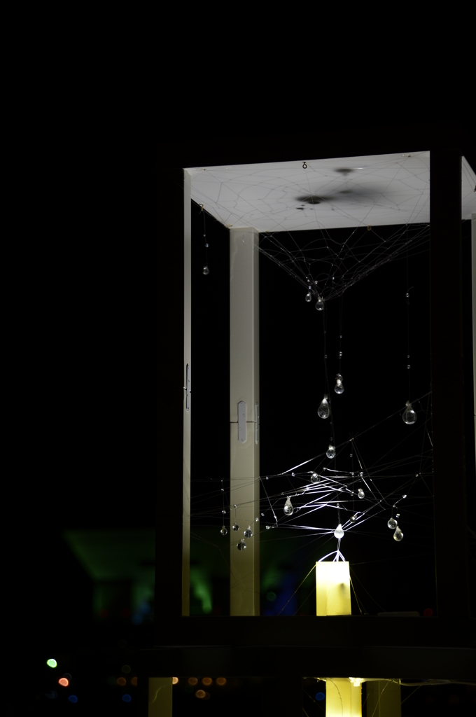 spider's web