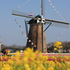 IMG_8002