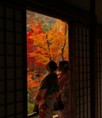 京都の秋_宝筐院