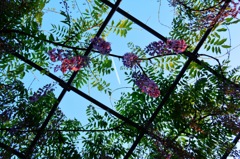 空を見上げれば