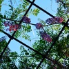 空を見上げれば
