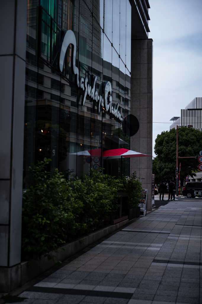 今日の1枚--赤に惹かれて