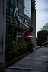 今日の1枚--赤に惹かれて