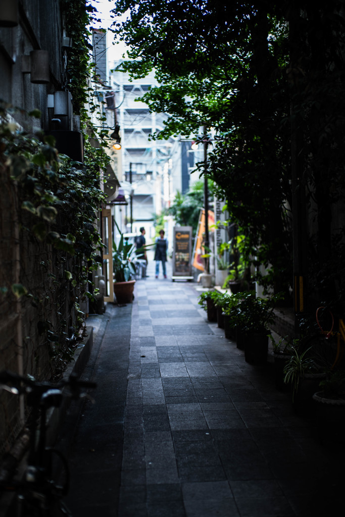 路地話