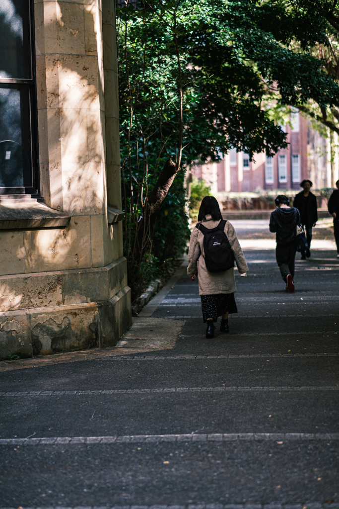 本郷散歩---初冬の学び舎