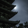 月夜のご存知