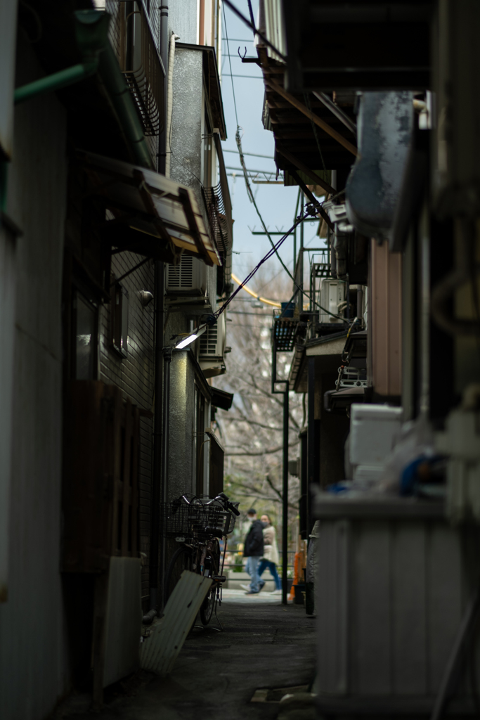 路地の灯り