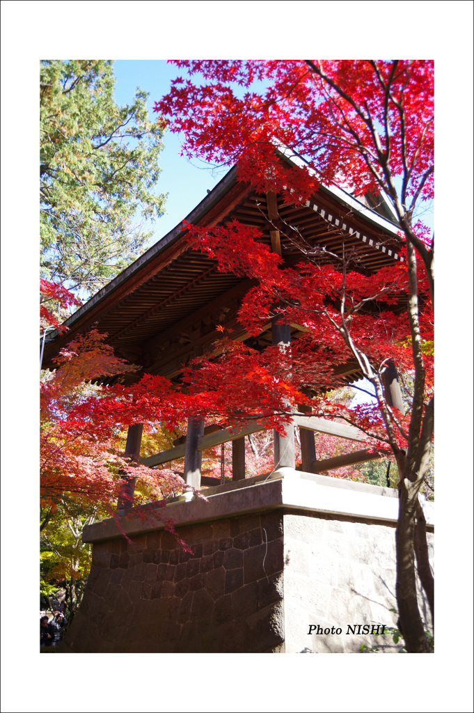 平林寺