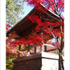 平林寺