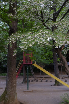 夏は来ぬ