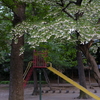 夏は来ぬ
