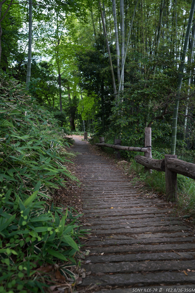 次郎さんちの散策路
