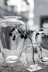 2か月ぶりに訪ねました