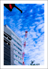 朝のうろこ雲