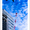 朝のうろこ雲