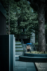 暑い夏の色