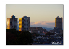 夕陽のふじみ野