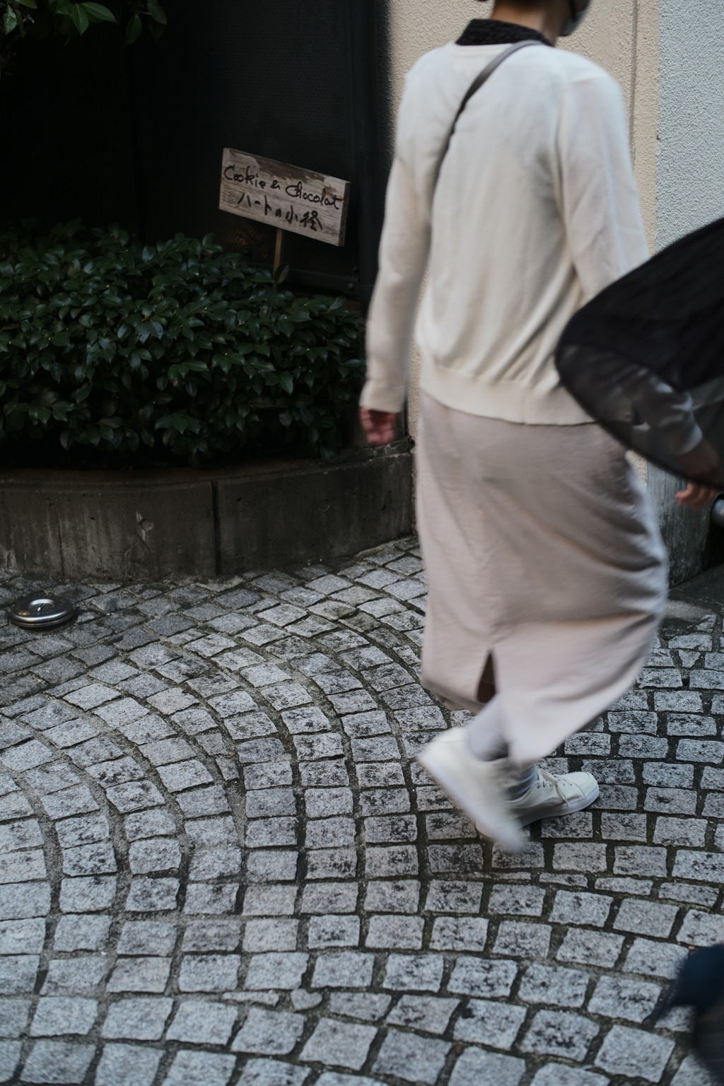 今日の組写真---路面の神楽坂③