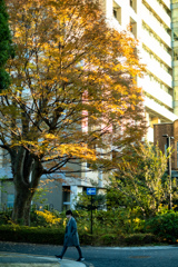 大学病院あたりと人生は一方通行です。