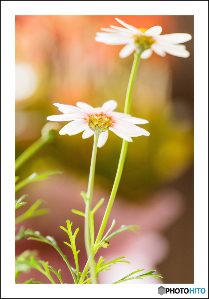 レンズワーク３題③