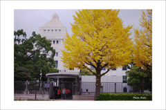 議事堂２
