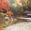 京の秋池