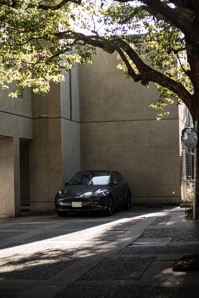 いかにも。らしい。凛として