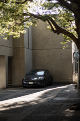 いかにも。らしい。凛として