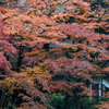嵐山渓谷　月川荘