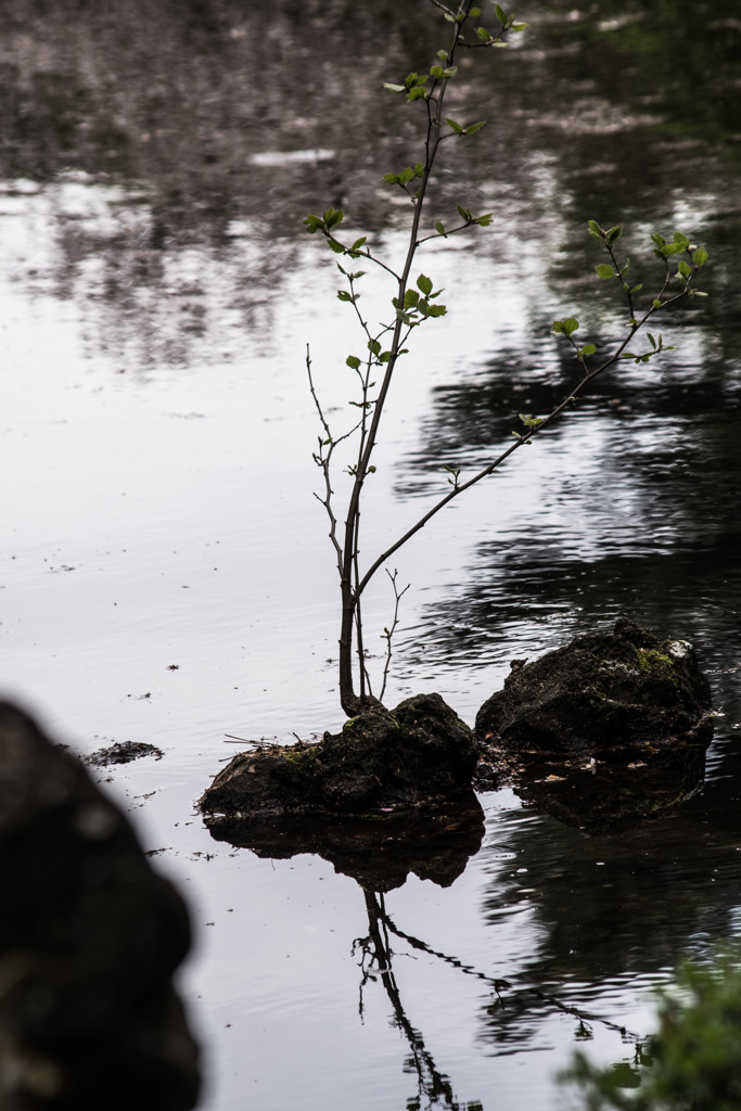 小さいことが気になるんです