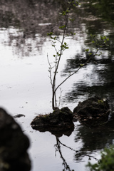 小さいことが気になるんです