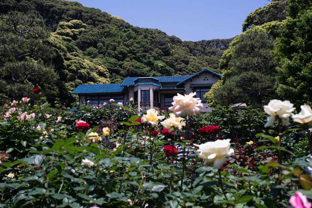 定番　文学館