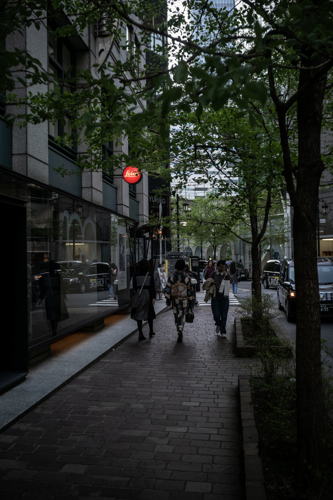 銀座も新緑のとき