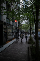 銀座も新緑のとき