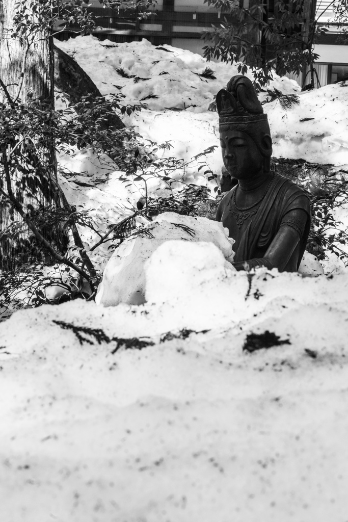 雪中に坐る