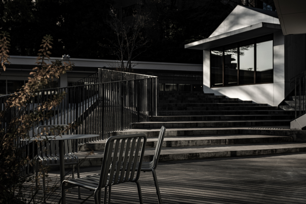 学びの窓に西日射す