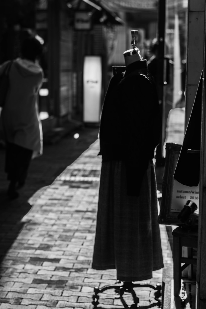 逆光の自由が丘