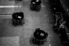 いつの時代でも哲学に正解などあったためしはない