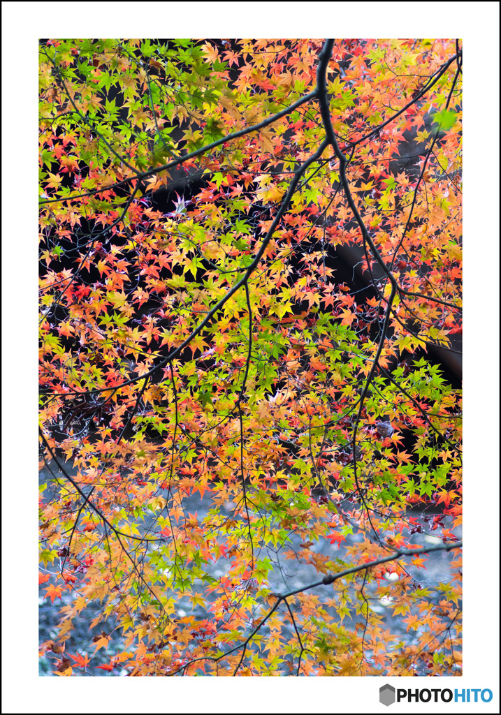 秋色平林寺②