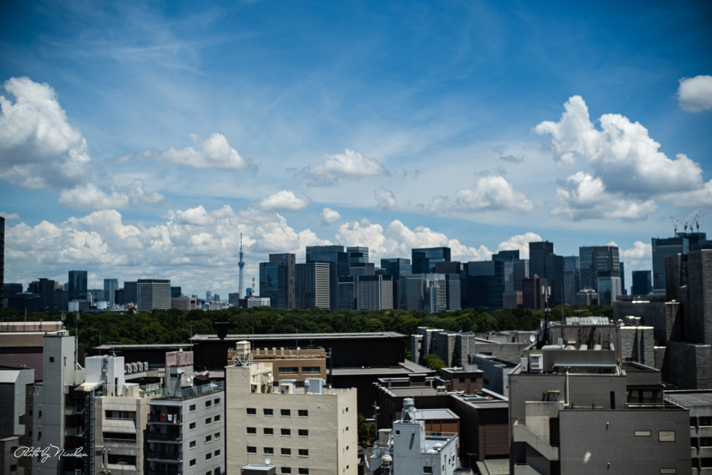 梅雨明け②