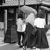 雨中の行進