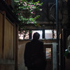 路地に咲く