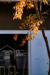 平面構成壊す紅